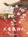 風雪遇歸人