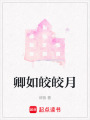 卿如皎皎月