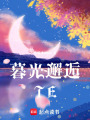 暮光邂逅TE