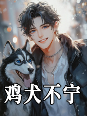 已完结小说《鸡犬不宁》在线免费阅读