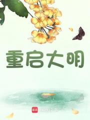 小说《重启大明》在线免费阅读-冰糖文学