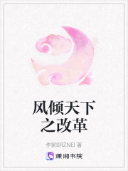 風傾天下之改革