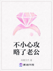 不小心攻略了老公