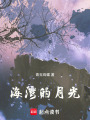 海灣的月光