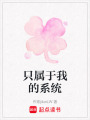 只屬于我的系統