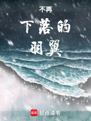 不再下落的羽翼