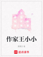 作家王小小