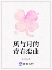 風與月的青春戀曲