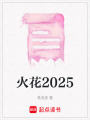 火花2025