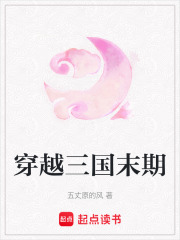 穿越三國末期