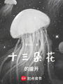 十三朵花的盛開