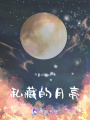 私藏的月亮