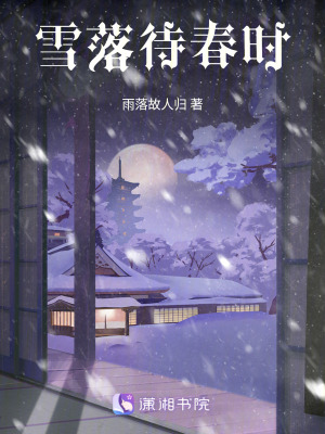 雪落待春時