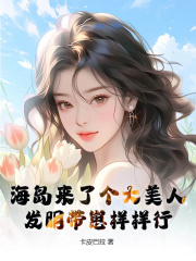 沈安宁宋文远（海岛来了个大美人，发明带崽样样行小说）精彩章节在线阅读
