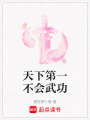 天下第一不會武功