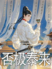 否极泰来小说，否极泰来在线阅读
