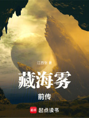 藏海霧前傳