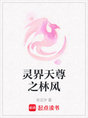 靈界天尊之林風