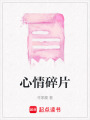 心情碎片