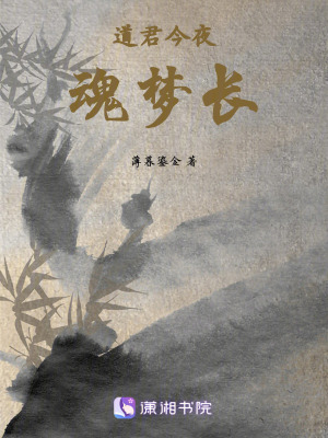 道君今夜魂夢長