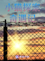 小貓?zhí)桨钙嬗鲇? class=