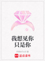 我想見你只是你
