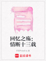 回憶之殤：情斷十三載
