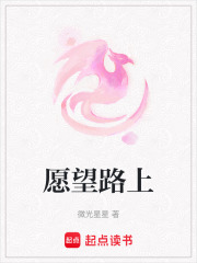 愿望路上