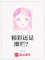 精彩還是糜爛？