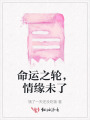 命運(yùn)之輪，情緣未了