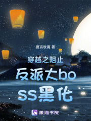 穿越之阻止反派大boss黑化