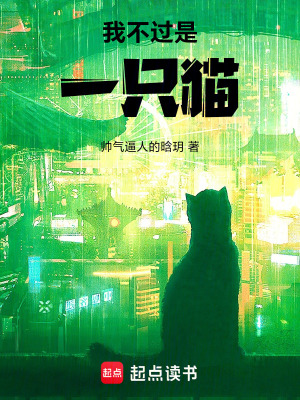黑貓想你