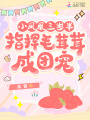 小鳳凰三歲半,，指揮毛茸茸成團(tuán)寵