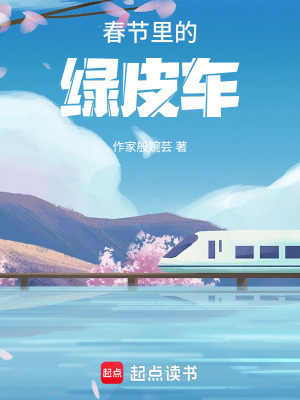 春節(jié)里的綠皮車
