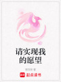 請實現我的愿望