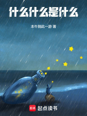 什么什么是什么