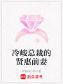 冷峻總裁的賢惠前妻