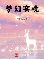 夢幻實境