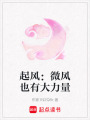 起風：微風也有大力量