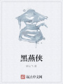 黑燕侠