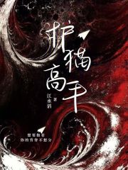 護貓高手