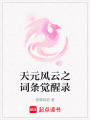 天元風云之詞條覺醒錄
