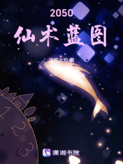 2050仙術藍圖