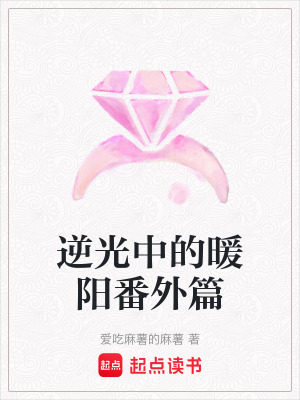 逆光中的暖陽番外篇