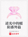 逆光中的暖陽番外篇