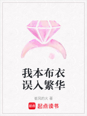 我本布衣誤入繁華