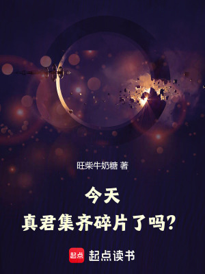 今天真君集齊碎片了嗎？