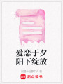 愛戀于夕陽下綻放