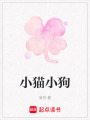 小貓小狗