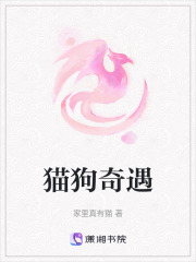 貓狗奇遇